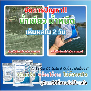 2026 ใหม่ล่าสุด หัวเชื้อจุลินทรีย์บาซิลัสเข้มข้น แก้ปัญหาน้ำเขียว ลดน้ำหนืด พร้อมใช้งานไม่ต้องหมัก ช่วยควบคุมค่า pH ย่อย