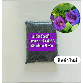 💥สินค้าขายดี💥เมล็ดพันธุ์อัญชันเทพพระรัตน์63 กลีบซ้อน (ขนาด 50-500 เมล็ด) Butterfly pea flowers,蝶豆種子 สินค้าใหม่