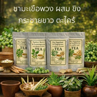 ชามะเขือพวงบรรจุ 12 ซอง ผสมขิง กระชายขาว ตะไคร้ ชามะเขือพวงอ…