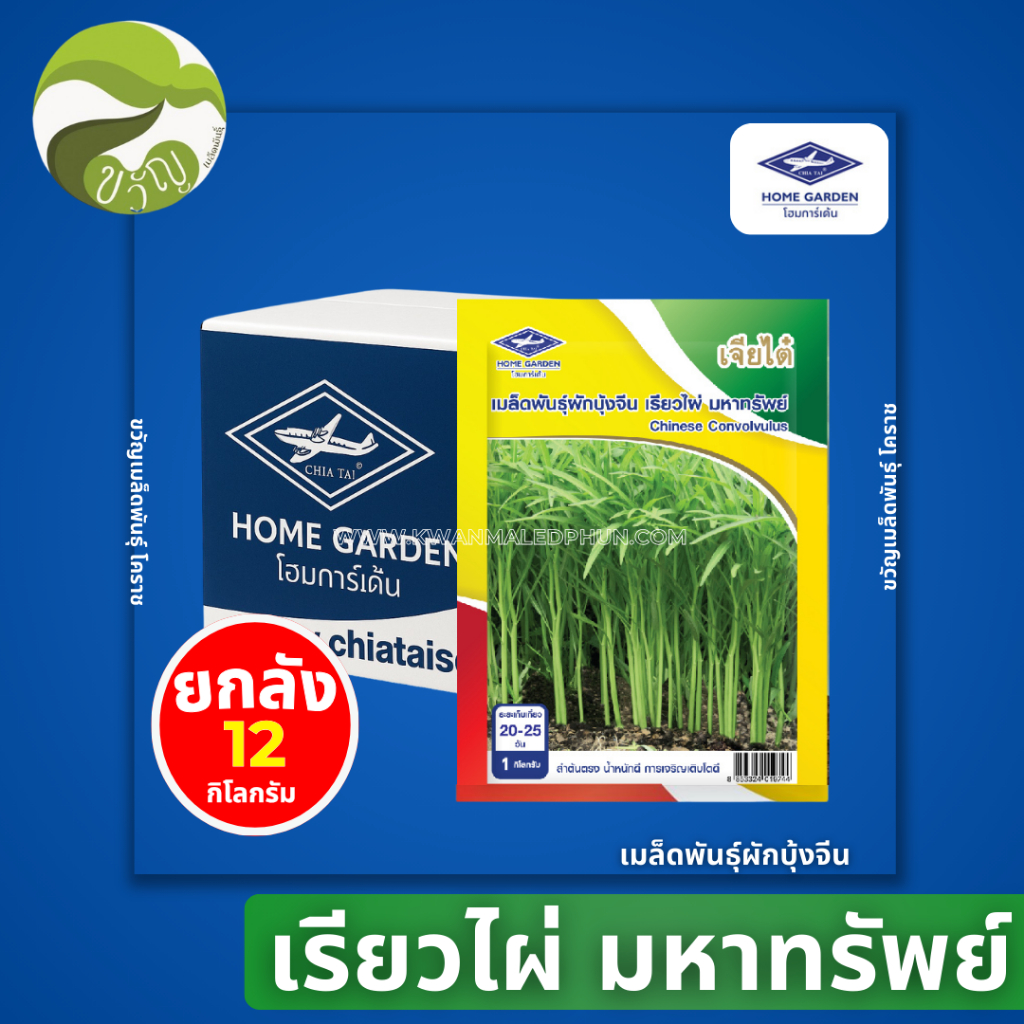 เรียวไผ่ มหาทรัพย์ ผักบุ้ง ผักบุ้งจีน ตราเจียไต๋ ยกลัง 12 กิโลกรัม