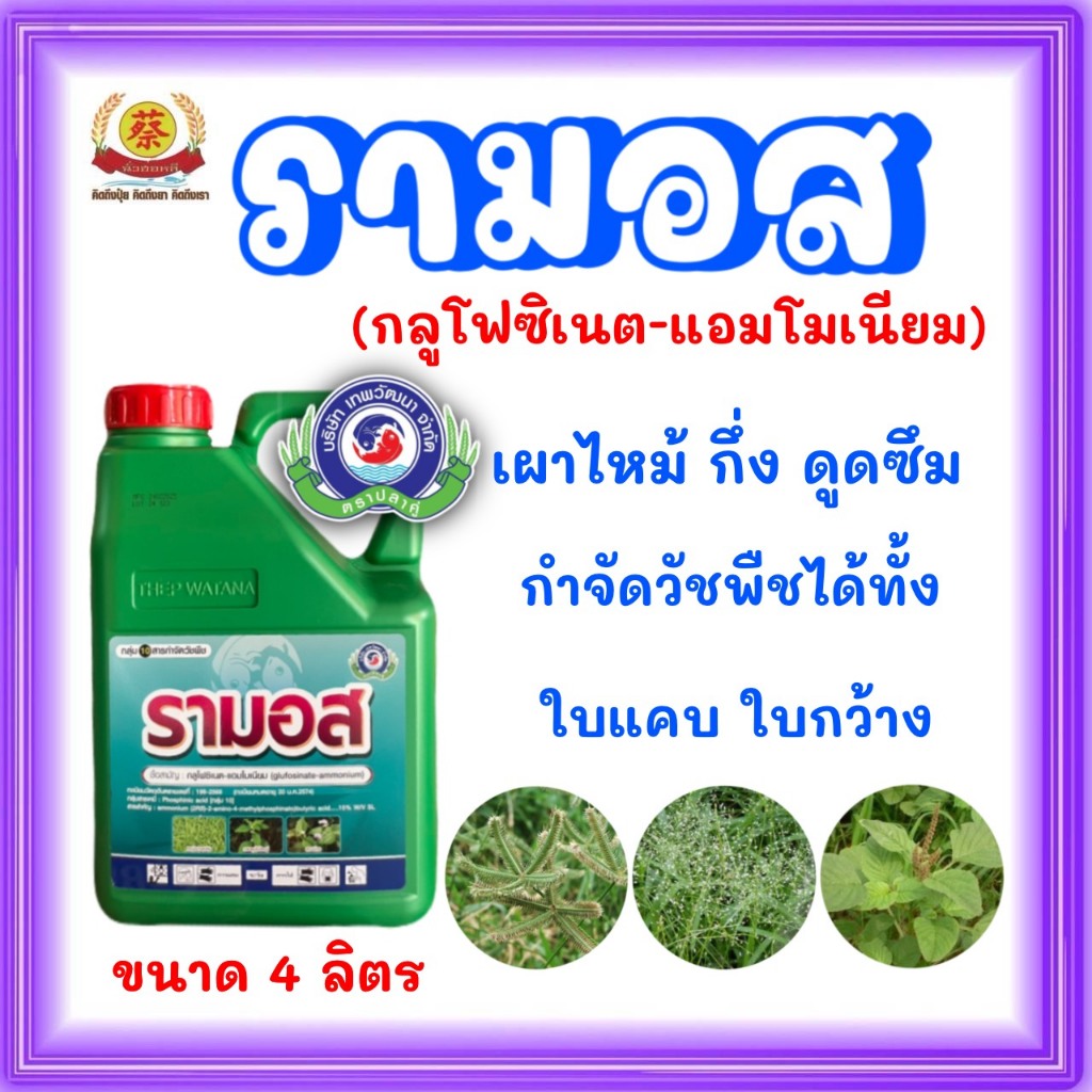 รามอส สารทดแทนพาราคอตออกฤิทธิ์แบบเผาไหม้และดูดซึม 4 ลิตร