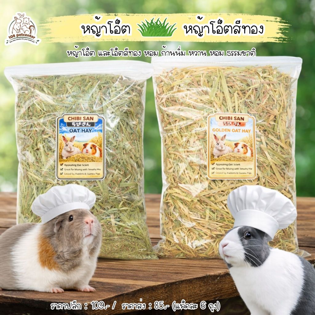 หญ้าโอ๊ต & หญ้าโอ๊ตสีทอง Chibi หญ้ากระต่าย หญ้าแกสบี้ อาหารสัตว์เล็ก