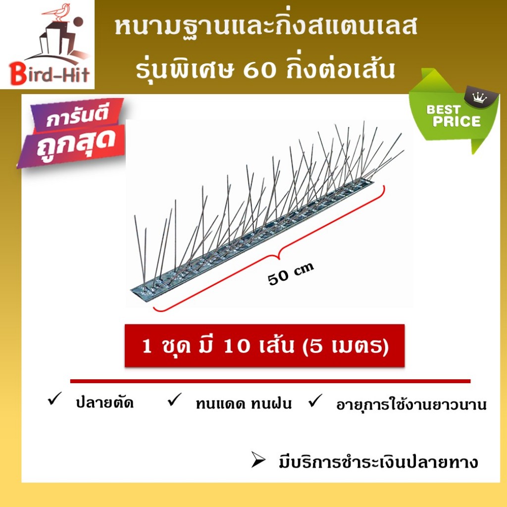 หนามกันนก หนามไล่นก ฐานและกิ่งสแตนเลส ◀️รุ่นพิเศษ 60 กิ่งต่อเส้น▶️ จำนวน 10 เส้น (5 เมตร)