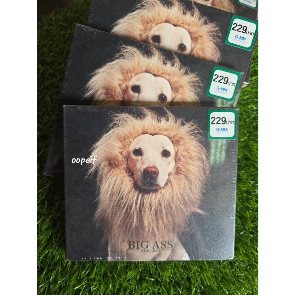 CD Big Ass อัลบั้ม THE LION🦁 Studio Album ลำดับที่ 8 ชีวิตที่ยังต้องเชิดกันต่อ มือ1 ซีล