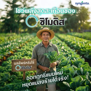 ซิโมดิส จากซินเจนทา ขวดเดียวสะเทือนโลก กำจัดหนอนใย เพลี้ยไฟ ด้วงหมัดผัก เพลี้ยอ่อน หนอนเจาะผล