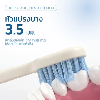 LINEE Ultra-Fine Soft Toothbrush แปรงสีฟันขนนุ่มพิเศษ | สะอาดล้ำลึก อ่อนโยนต่อเหงือก