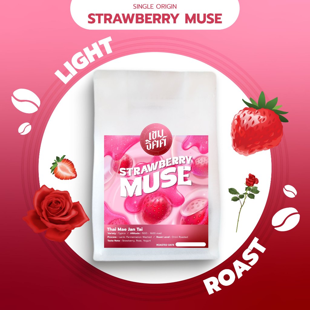 เมล็ดกาแฟคั่วอ่อน Thai แม่จันใต้ Strawberry Muse 200กรัม คั่วใหม่พร้อมส่งทุกวัน