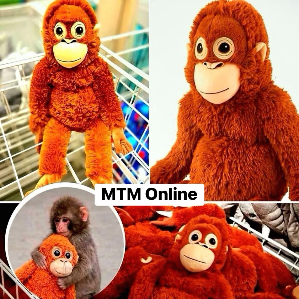 [ พร้อมส่ง ] パンチくん ตุ๊กตาลิงขนาดใหญ่ 66 เซน มัมหมีพันช์คุง ห้อยหลังได้ Punchi-kun ตุ๊กตาแม่ลิง ตุ๊กตาลิง monkey