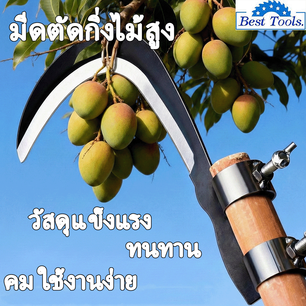 มีดขอ เคียว เกี่ยว เก็บผลไม้ บนที่สูง ไม่ต้องปีนป่าย ให้เสี่ยงอันตราย เหล็กแมงกานีสขนาดใหญ่ หนา คม แข็งแรงทนทาน