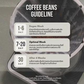 Longboard MMGC 2026 Cascara | Filter Roast | กาแฟ ขนาด 10 กรัม