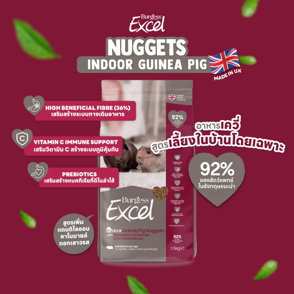 อาหารแกสบี้เลี้ยงในบ้าน 🇬🇧 Burgess Excel Indoor Guinea Pig Nuggets 1.5 kg