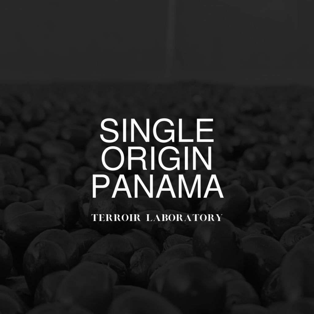 (พร้อมส่ง) Single Origin Panama | Filter Roast