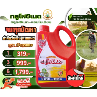ยาฆ่าหญ้า ยากำจัดวัชพืช(พรีเมียม)กลูโฟซิเนต แอมโมเนีย น้ำสีฟ้ามังกรแดง(เห็นผลไวกว่า)ขนาด4ลิตร(1แกลลอน)