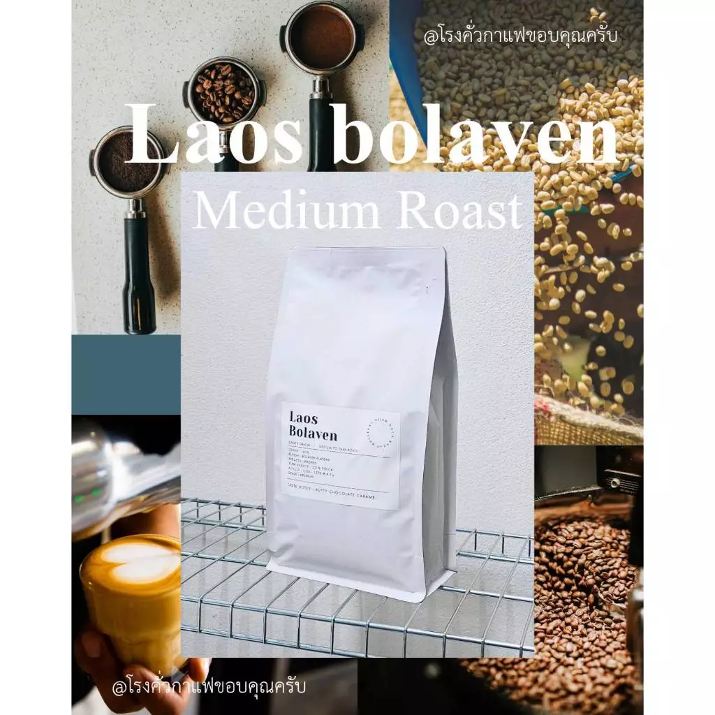 กาแฟลาวโบลาเวน Bolaven, เมล็ดกาแฟคั่วเกรดAA อาราบิก้า คั่วกลาง,Premium+,Laos Bolaven Arabica, Medium Roast