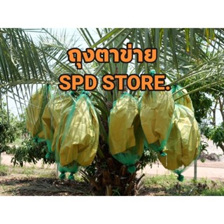 ถุงตาข่ายกันแมลง ห่ออินทผลัม ขนาด 100*120 cm. (แพ็กละ 10 ใบ)