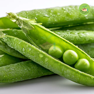 พิเศษ9บาท เมล็ดพันธุ์ถั่วลันเตา 50 เมล็ด