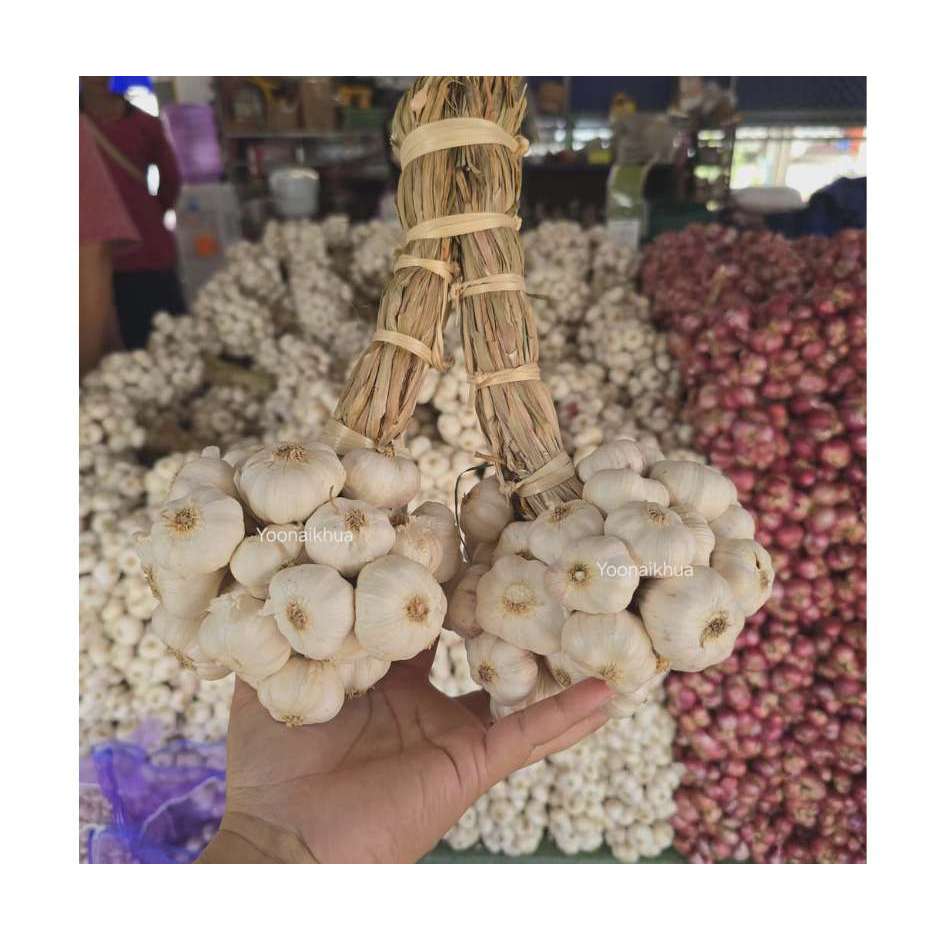 กระเทียมไทยแก้ว ศรีสะเกษ แบบมัด *1 กิโลกรัม*