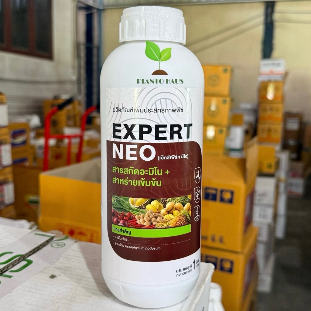 เอกซ์เพิร์ท นีโอ อะมิโน+สาหร่าย *ผลิตใหม่ 2/69 เร่งราก แตกกอ ลดเครียด เพิ่มแข็งแรง 1ลิตร