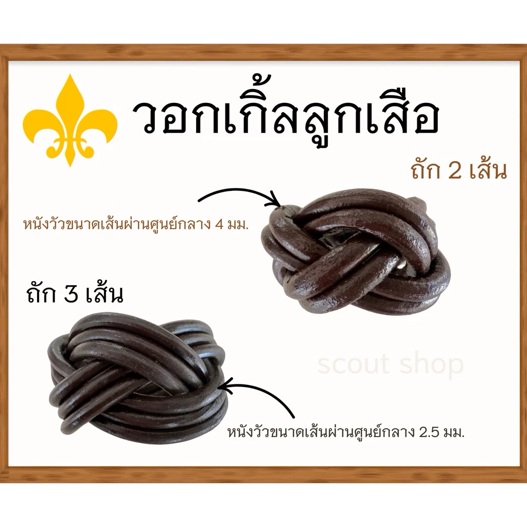 วอกเกิ้ลลูกเสือ (ครูผู้กำกับ)