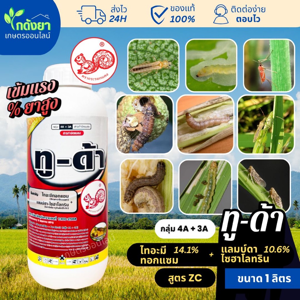ทูด้า 1L เน้นกำจัดแมลงดื้อยา สาร ไทอะมี 14.1% + แลมดา 10.6% ตรากระดอกแดง