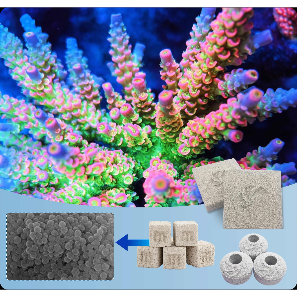 MAXSPECT NANO-TECH CUBELET รุ่นใหม่ 2026 เทคโนโลยี W-BAF ลดของเสียรวดเร็ว bio media Probiotic brick ตู้ ปลาทะเล หินเป็น ราคา ถูกที่สุด ดีลบีเคเค แกลเลอรีภาพที่ 7