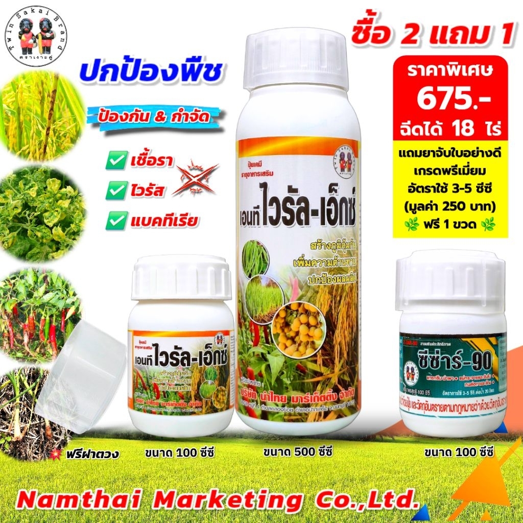 ตราเงาะคู่ เอ็นทีไวรัล-เอ็กซ์ ป้องกันใบจุด ใบไหม้ ใบเน่า ใบหงิกด่าง กุ้งแห้งพริก