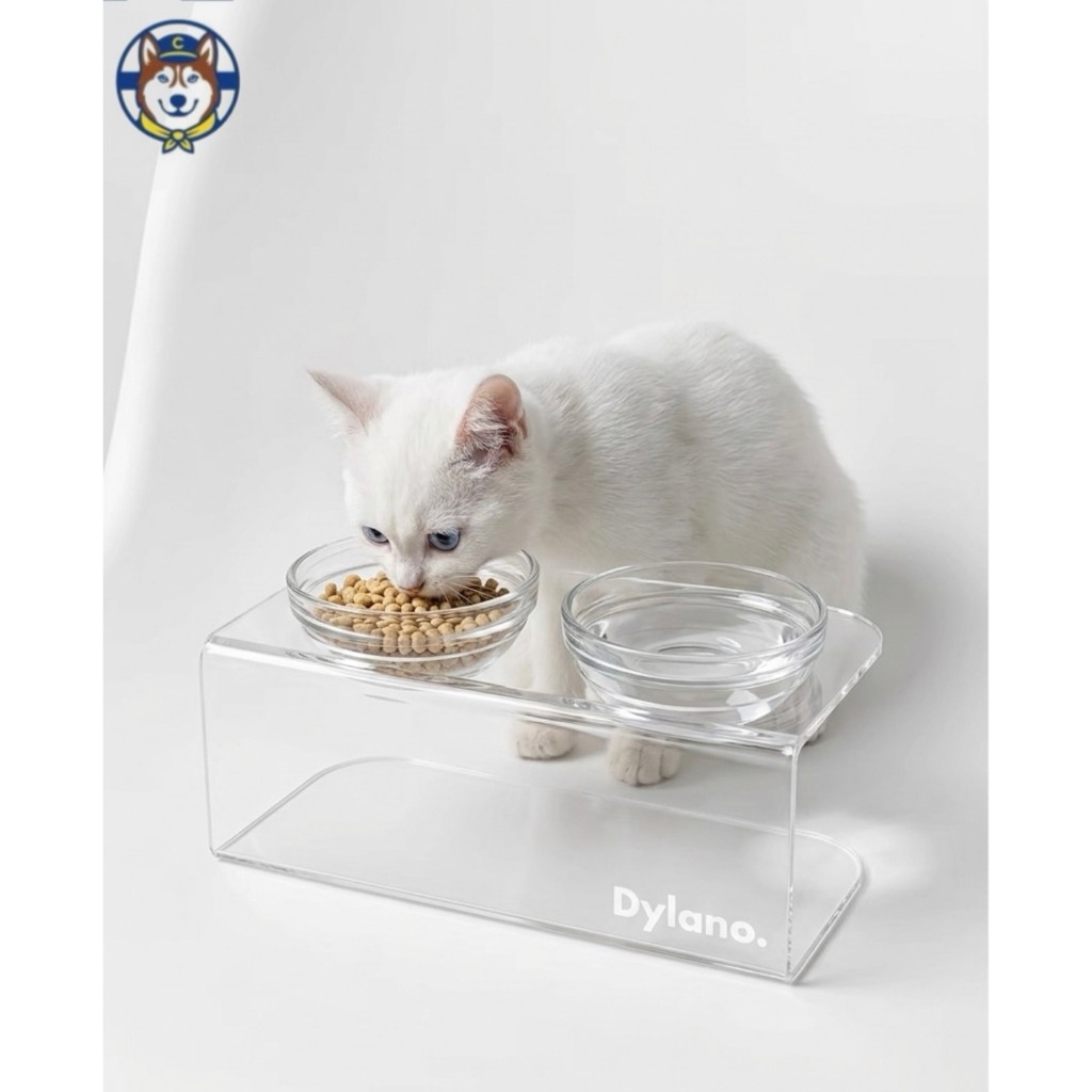 Dylano ชามอาหารสัตว์เลี้ยงยกสูงจากแบรนด์