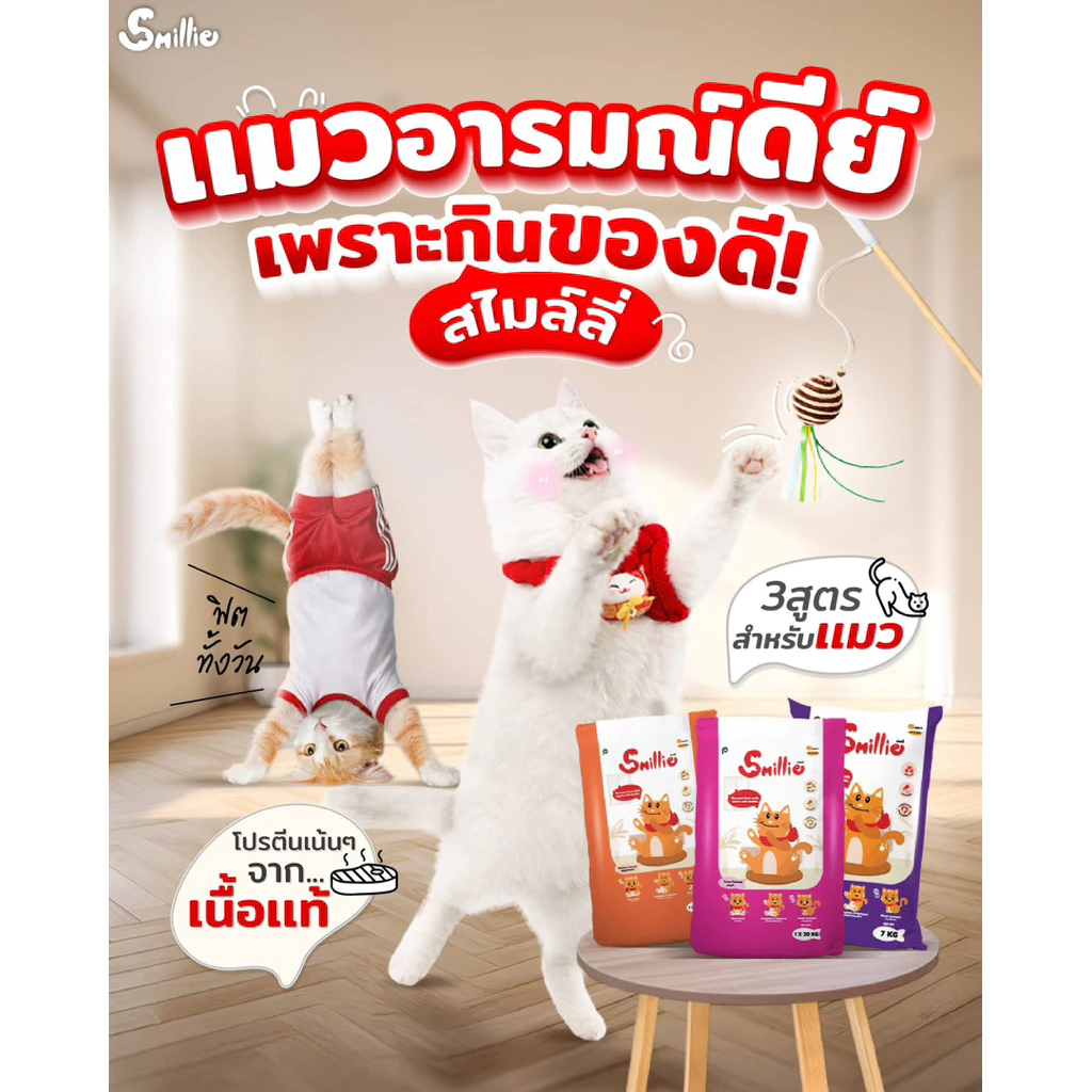 (ถุง 1 กก.) อาหารแมว Smillie สมายลี่ มี 3 รส รสปลาทู รสปลาทูน่า และรสแซลมอน