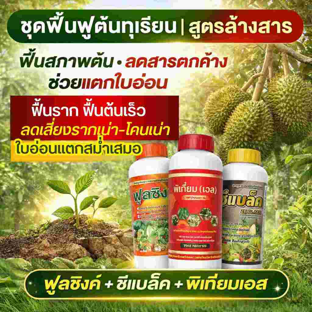 สูตรล้างสารทุเรียนฟื้นต้น สูตรดูแลทุเรียนที่มีปัญหาต้นโทรม รากชะงัก ช่วยล้างสารเคมีที่สะสมในดินและในต้น ฟื้นระบบราก