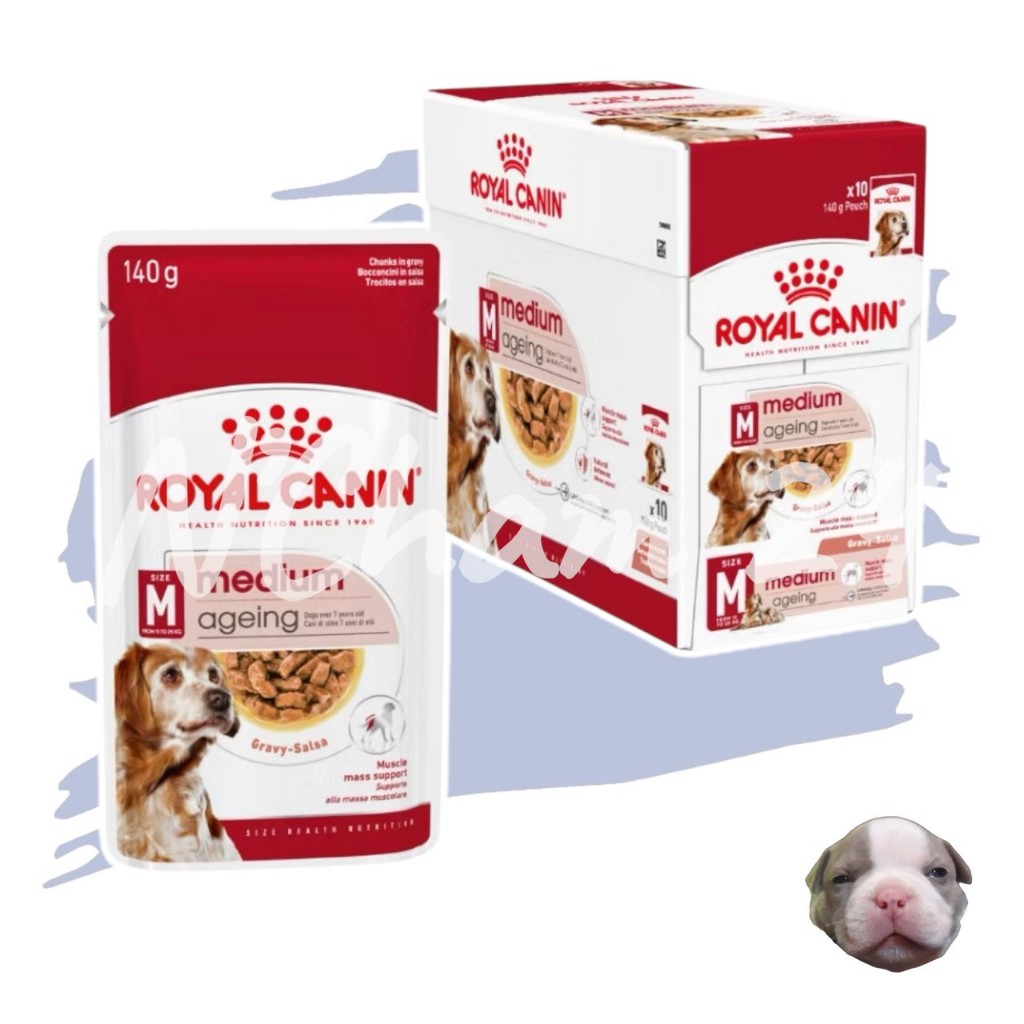 Royal Canin Medium Ageing 10+ Pouch Gravy บรรจุ10ซอง อาหารเปียกสุนัขสูงวัยพันธุ์กลางอายุ 10 ปีขึ้นไป