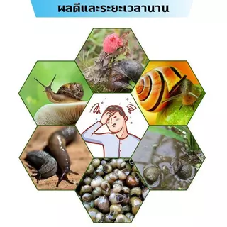[ลด 50% วันนี้]กำจัดหอยทากได้ภายใน 1 วินาที ปลอดภัยต่อพืช กำจัดหอยทาก ทาก และหอยแอปเปิ้ล ผงละลายน้ำได้