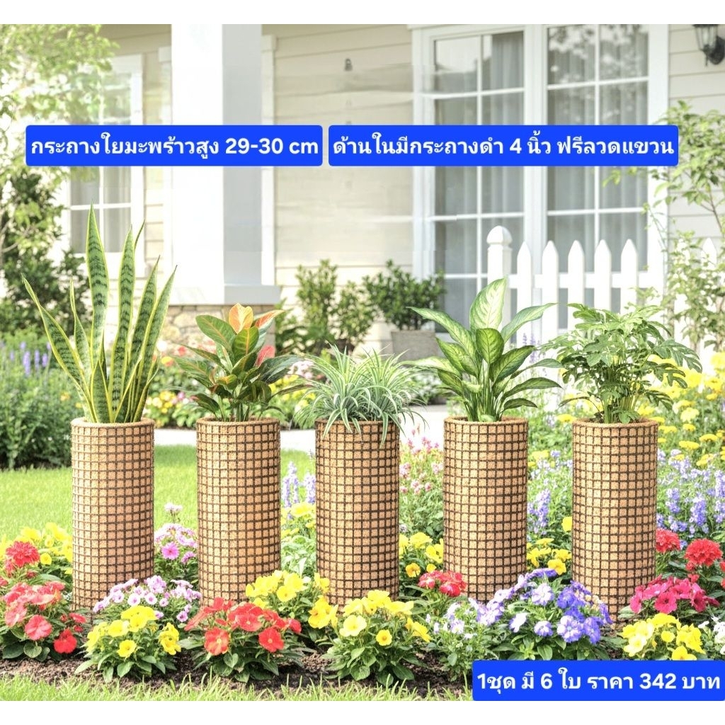 กระถางใยมะพร้าวทรงสูง 29-30cm1ชุดมี6ใบราคา342บาทมีลวดแขวนฟรี