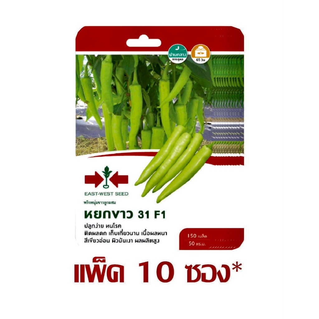 พริกหนุ่มขาวลูกผสม หยกขาว 31 F1 ศรแดง (ยกแพ็ค 10 ซอง)