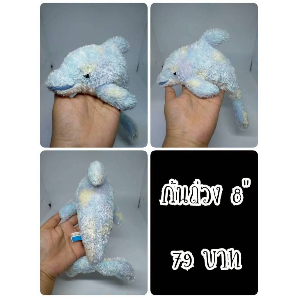 Dolphin#โลมา#ปลาโลมา#ปลา#Okinawa Churaumi Aquarium#ป้ายไม่ค่อยสวย#ตุ๊กตาญี่ปุ่นมือสอง