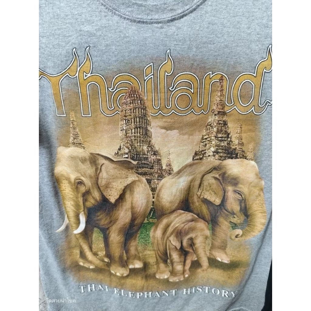 D101/1💜อก38ยาว26" งานThailand 1 สกรีนสวย หน้า-หลัง  เสื้อยืดUSAมือ2