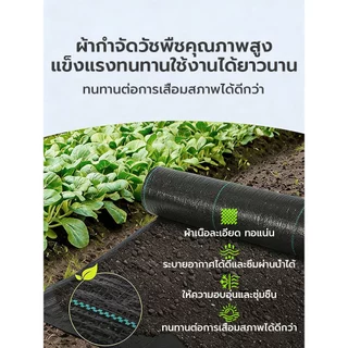 💥เกรด AAA💥 ผ้าคลุมดิน ผ้าคลุมหญ้า พลาสติกคลุมวัชพืช คลุมวัชพืช ผ้าคลุมวัชพืช น้ำซึมผ่านได้ คลุมวัชพืช 50/100m