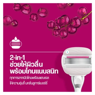 [แพ็คสุดคุ้ม] ยิลเลตต์ วีนัส ชูการ์เบอร์รี่ มีดโกน 1 ด้าม พร้อม 6 ชิ้น Gillette Venus Sugarberry Razor and 6 Blades