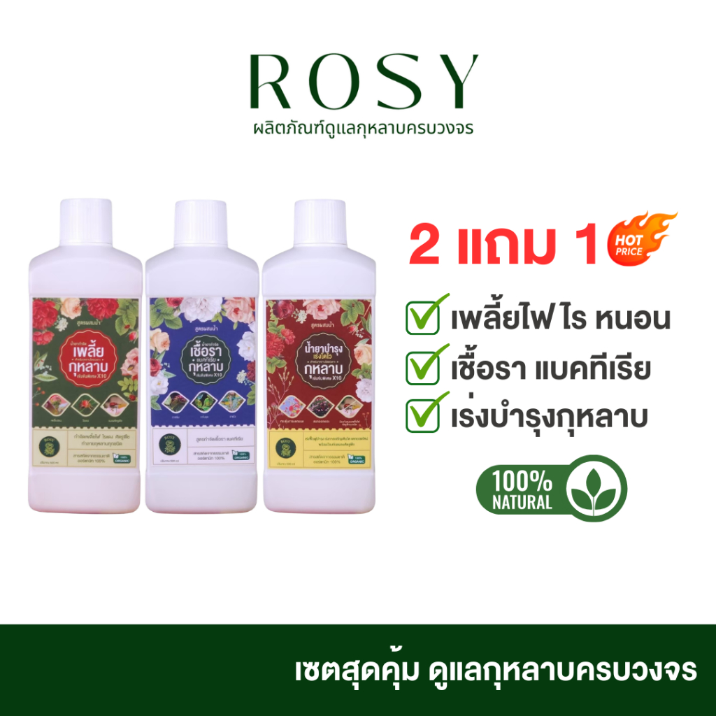 Rosy เซ็ทดูแลกุหลาบ [สูตรผสมน้ำ 3 ขวด] สำหรับผู้ที่ปลูกกุหลาบหลายต้น ปุ๋ยกุหลาบ เร่งโต ฟื้นฟูต้น กำจัดเพลี้ยไฟ เชื้อรา