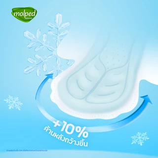 Molped โมลเพด ไอซี่คูล สลิม 0.1 ผ้าอนามัยสูตรเย็น สำหรับกลางวัน แบบมีปีก 25 ซม. จำนวน 14 ชิ้น