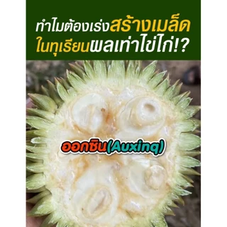 ซิงค์ สังกะสีพืช กำมะถัน สูตรเข้มข้น ช่วยให้พืชออกดอก ทนต่อสภาพอากาศ