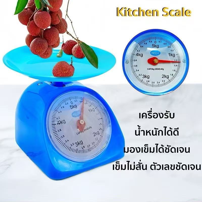 Scale Size 1/2/3/5 Kg. Spring Scale, Food Scale For