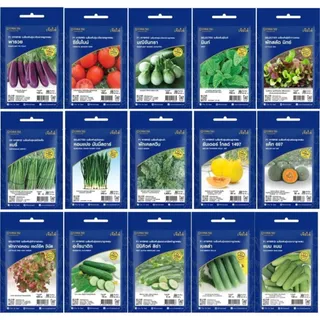เมล็ดผักเจียไต๋ ซองอีซี่ ซื้อ 199 บาทขึ้นไป แถมฟรี 2 รายการ ออกใบกํากับภาษีได้