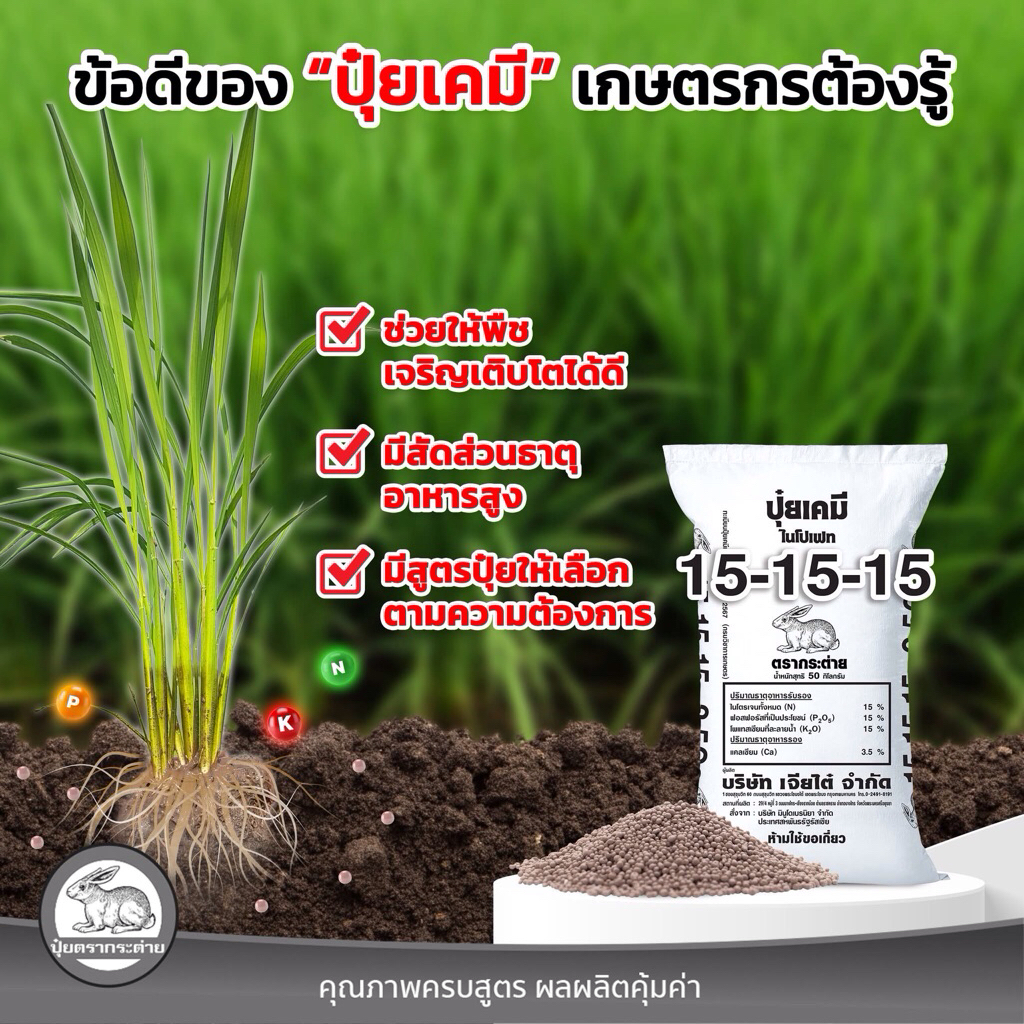 ปุ๋ยตรากระต่าย ปุ๋ยสูตรเสมอ15-15-15🍃 แบ่งขาย[พร้อมส่ง-ส่งไว]
