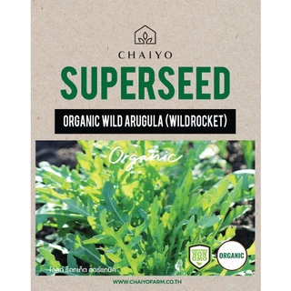 เมล็ด WILD ARUGULA (Wild Roquette) organic seed ไวลด์ ร็อกเก็ต ออร์แกนิค