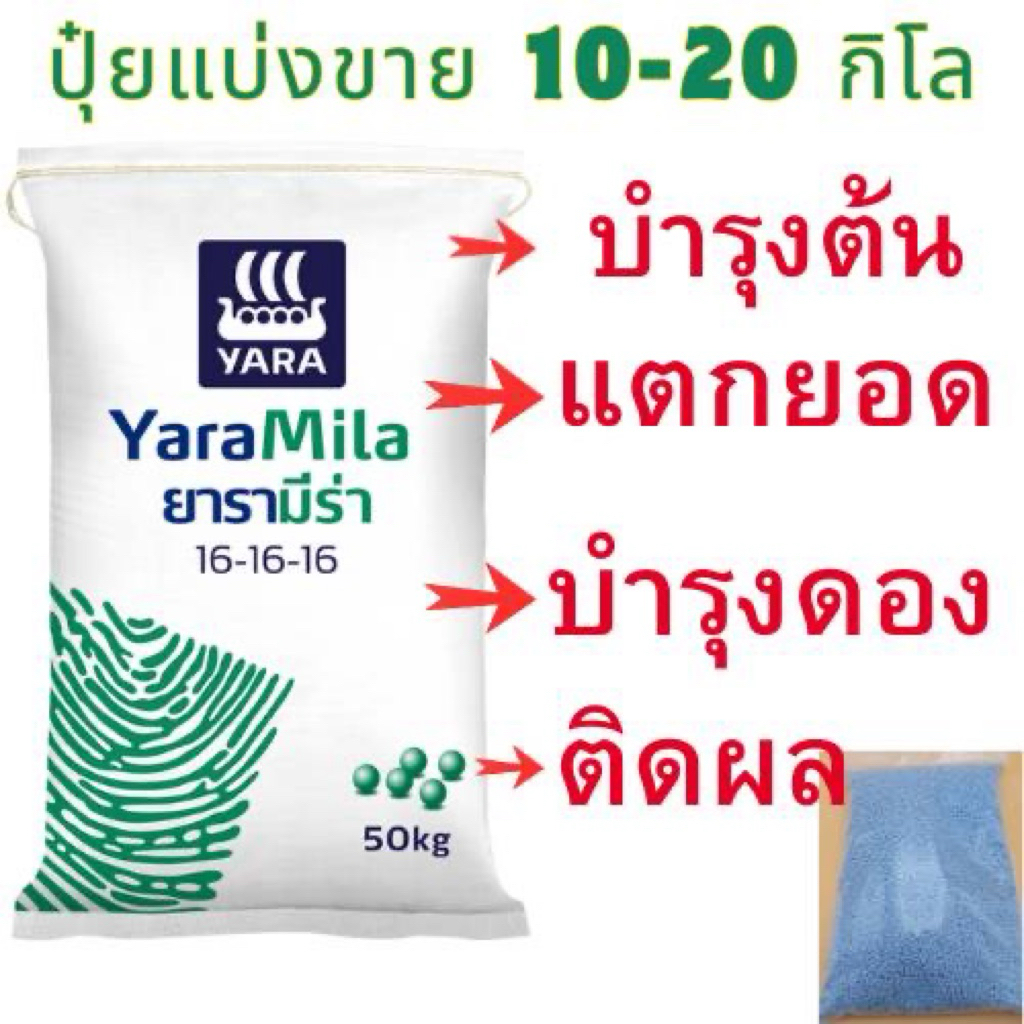 ปุ๋ยแบ่งขาย 16-16-16 ยาร่า ใช้ได้กับทุกพืช 10-20 กิโล