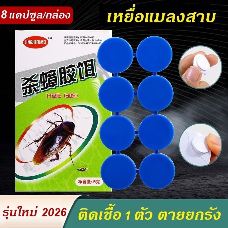 เหยื่อแมลงสาบ ฆ่าแมลงสาบ กับดักแมลงสาบ