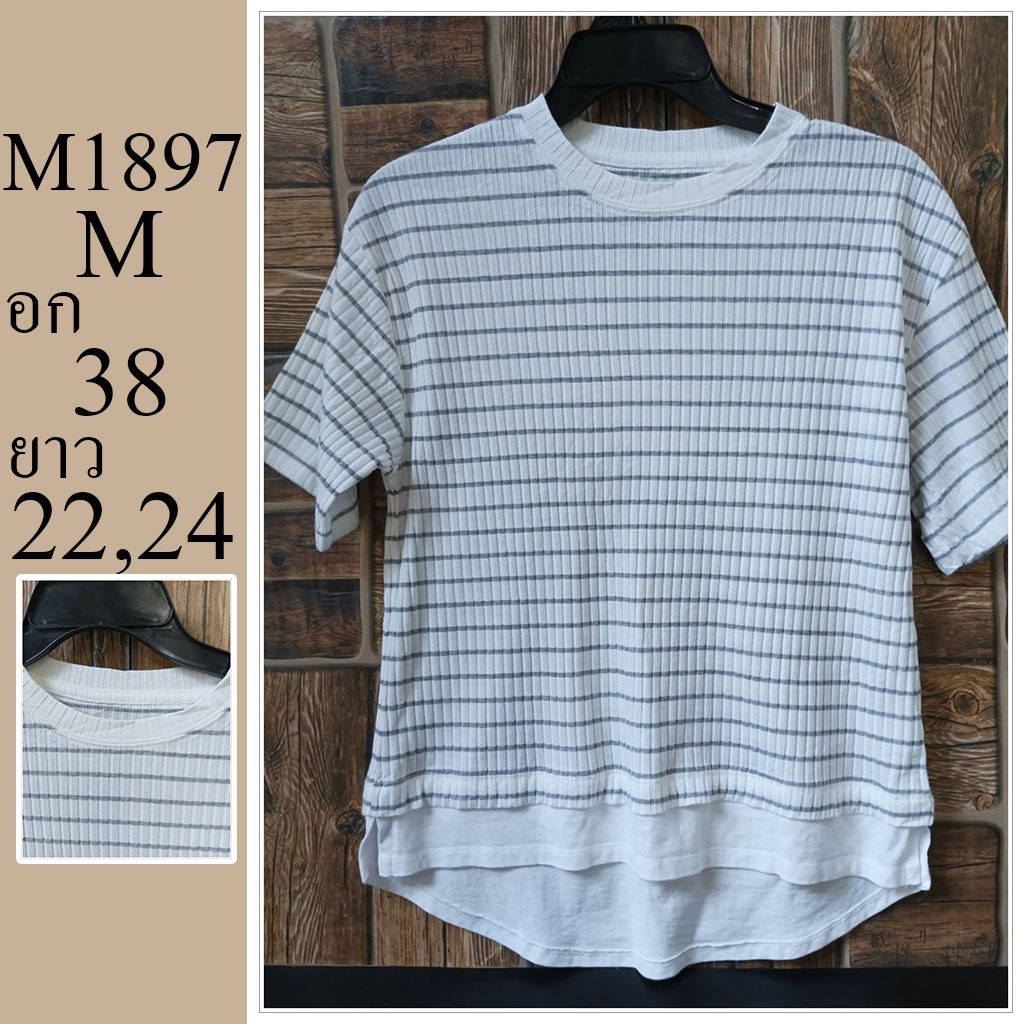 เสื้อยืด แบรนด์ญี่ปุ่น   มือสอง ไซส์ M อก 38 ยาว 22,24 รหัส M1897