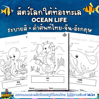 สมุดระบายสี Ocean Life สัตว์โลกใต้ทะเล ปลา ทะเล สิ่งแวดล้อม …