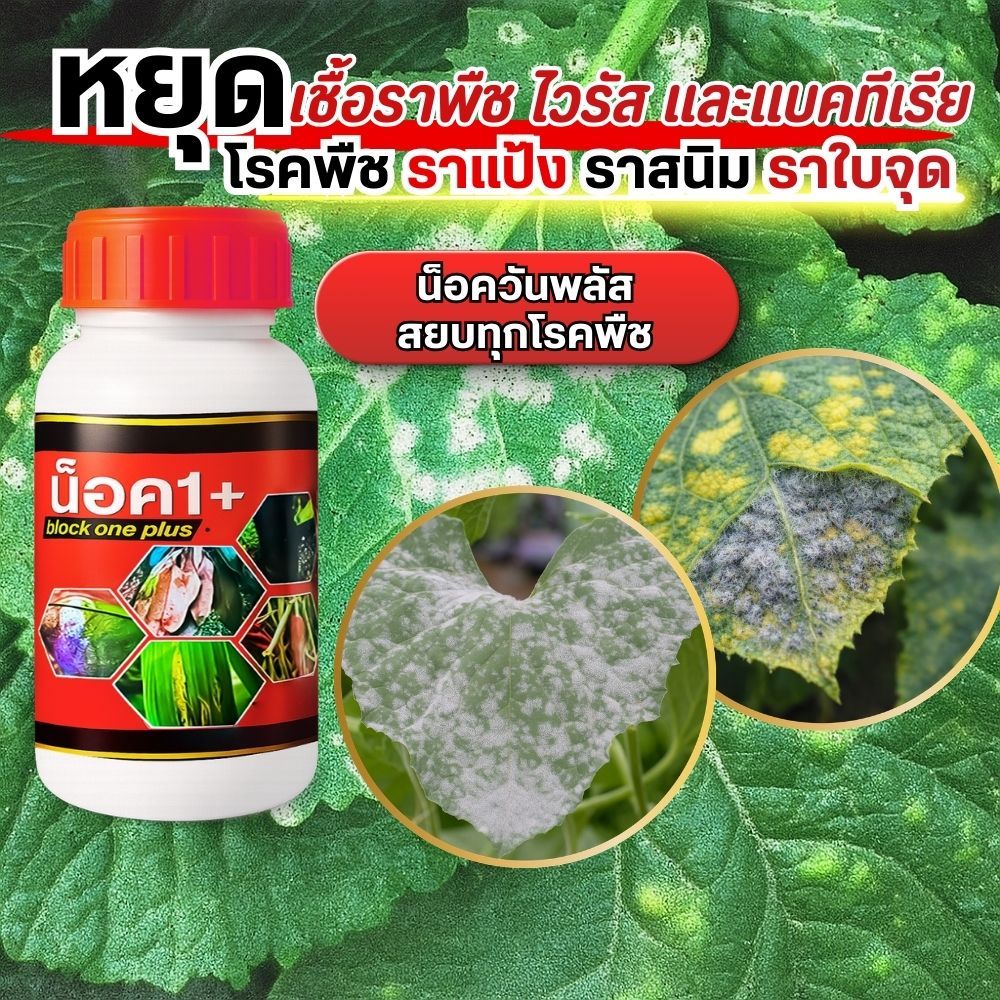 หยุดโรคพืช เชื้อรา ไวรัส แบคทีเรีย กำจัดโรคพืช ทั้งราน้ำค้าง ราสนิม ราใบจุด ราแป้ง สยบทุกโรคพืช