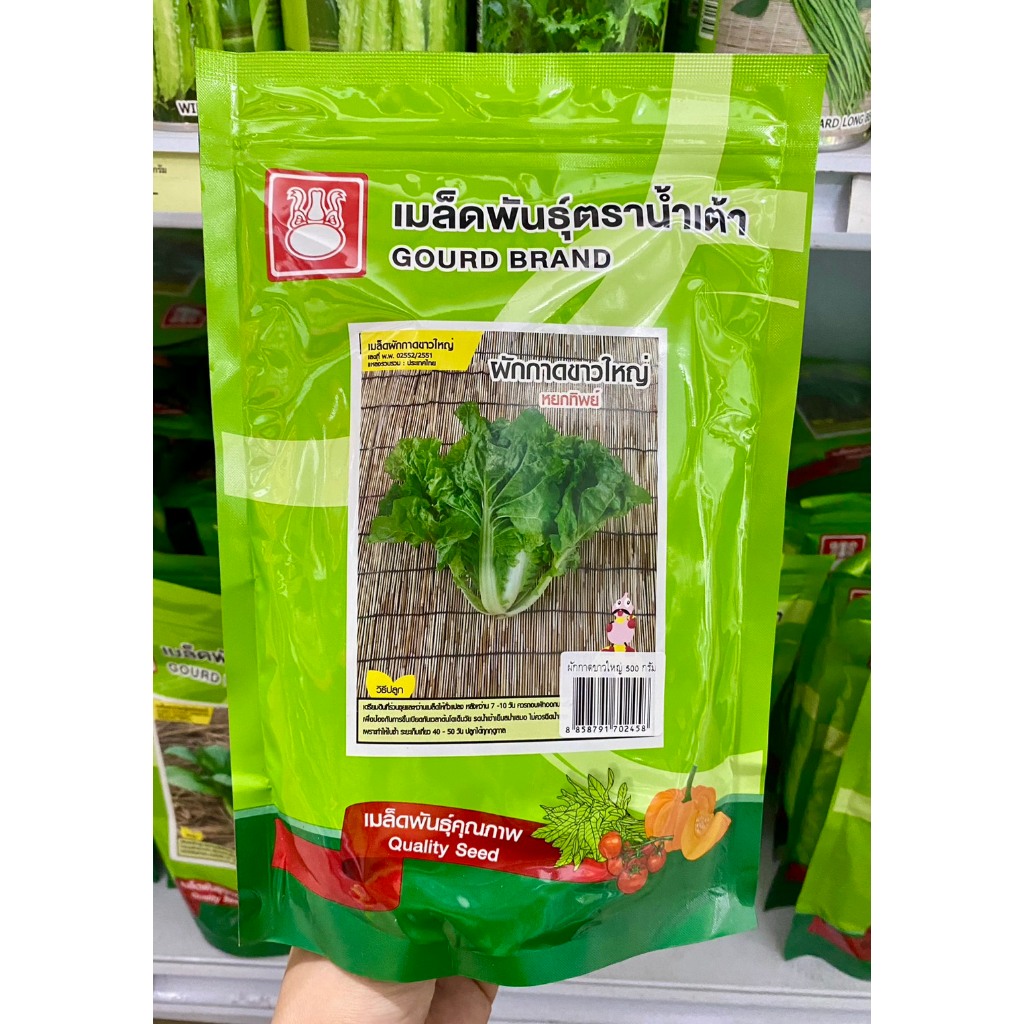 ผักกาดขาวใหญ่ หยกทิพย์ 500g น้ำเต้า
